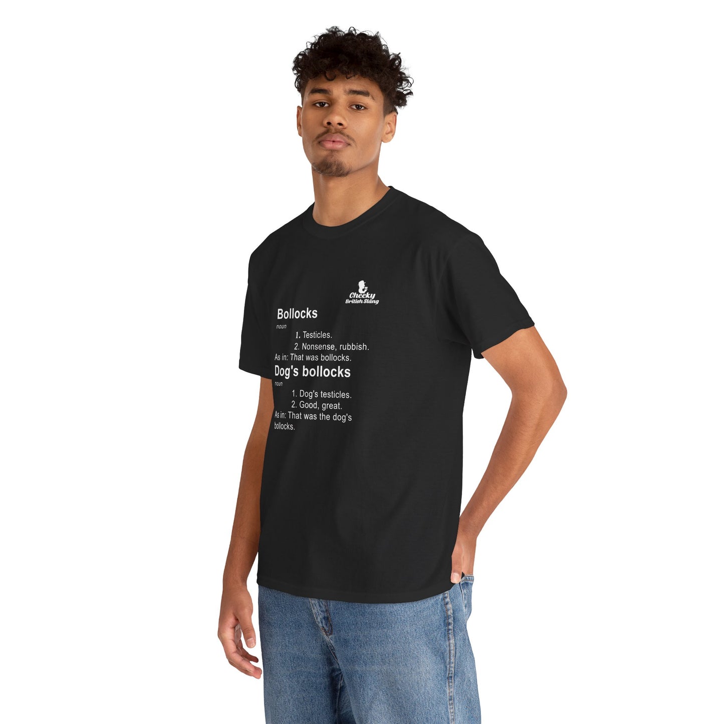 Bollocks Dictionary Definition t-shirt